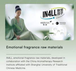 品牌手册(英文版本）